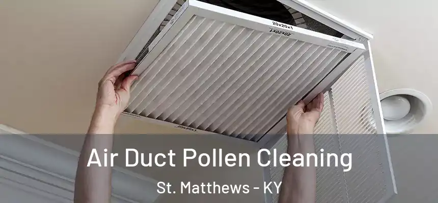  Air Duct Pollen Cleaning St. Matthews - KY