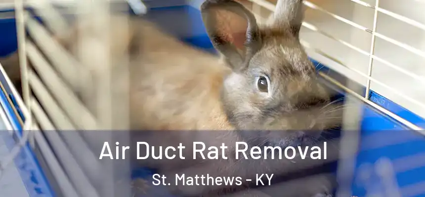  Air Duct Rat Removal St. Matthews - KY