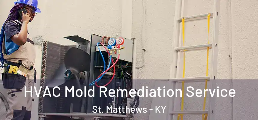  HVAC Mold Remediation Service St. Matthews - KY