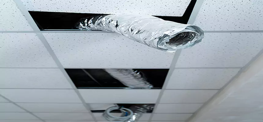 Our Air Duct Pet Hair Removal Services in St. Matthews, KY