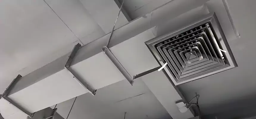 Our Pest Removal From Ducts Services in St. Matthews, KY