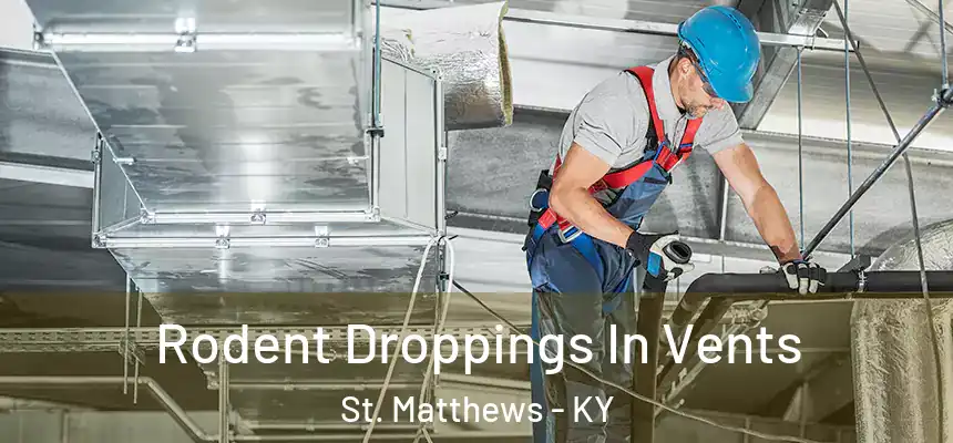  Rodent Droppings In Vents St. Matthews - KY