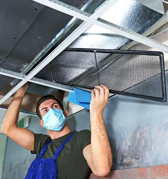 About Air Duct Bacteria Removal in St. Matthews