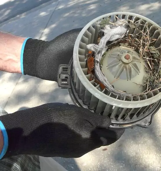 About Air Duct Rat Removal in St. Matthews, KY