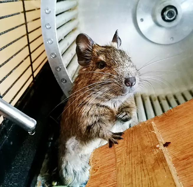 Why Homeowners & Businesses Trust Us St. Matthews, KY?